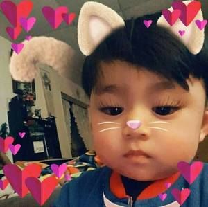 Meet your Posher, Genesis